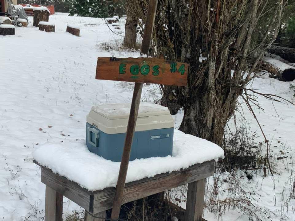 Fresh eggs in the box this morning