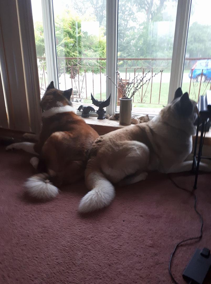 My bookend security
