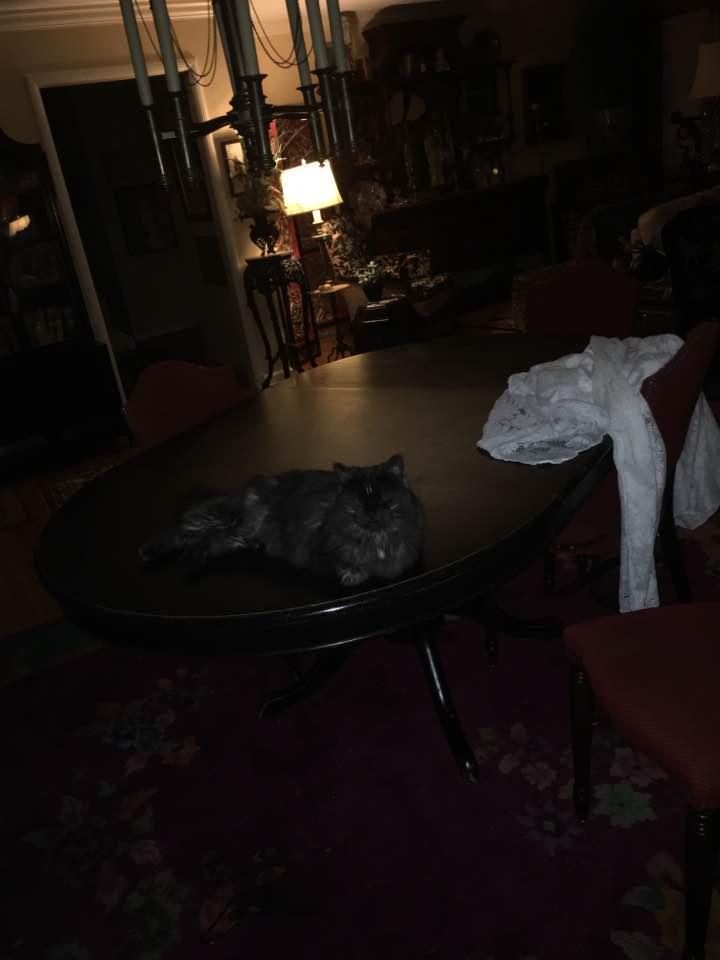 John Cutright's album, Photos