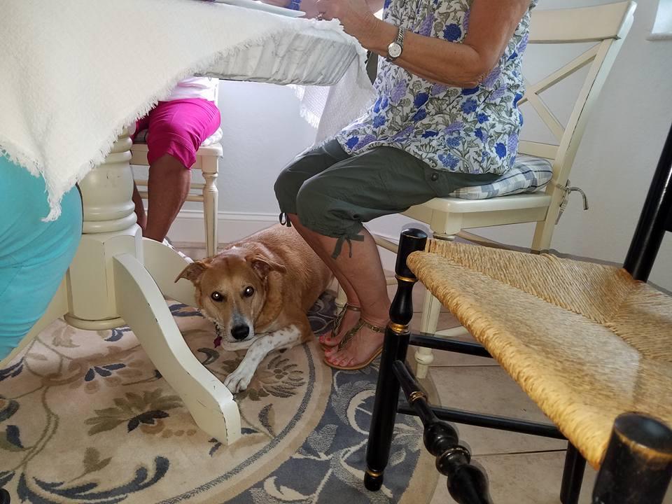 Barbara Glaeser 's album, Mobile uploads