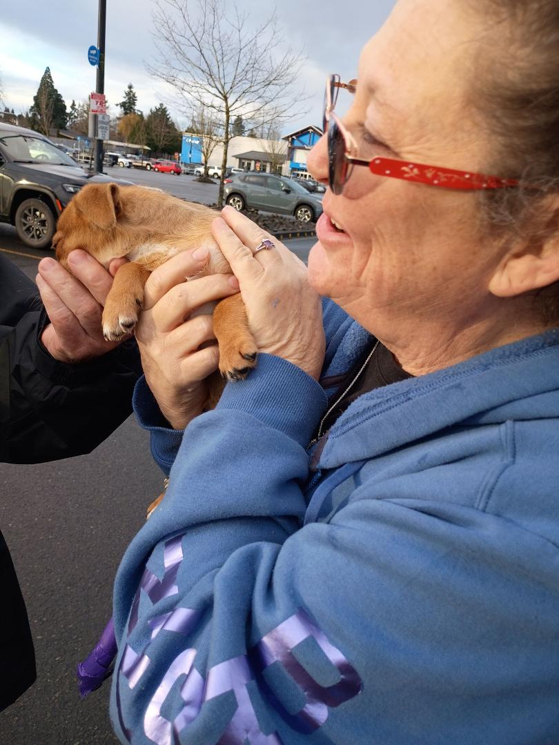 Welcome home Zeus Bear Brown & Hopi Sue Miracle Brown