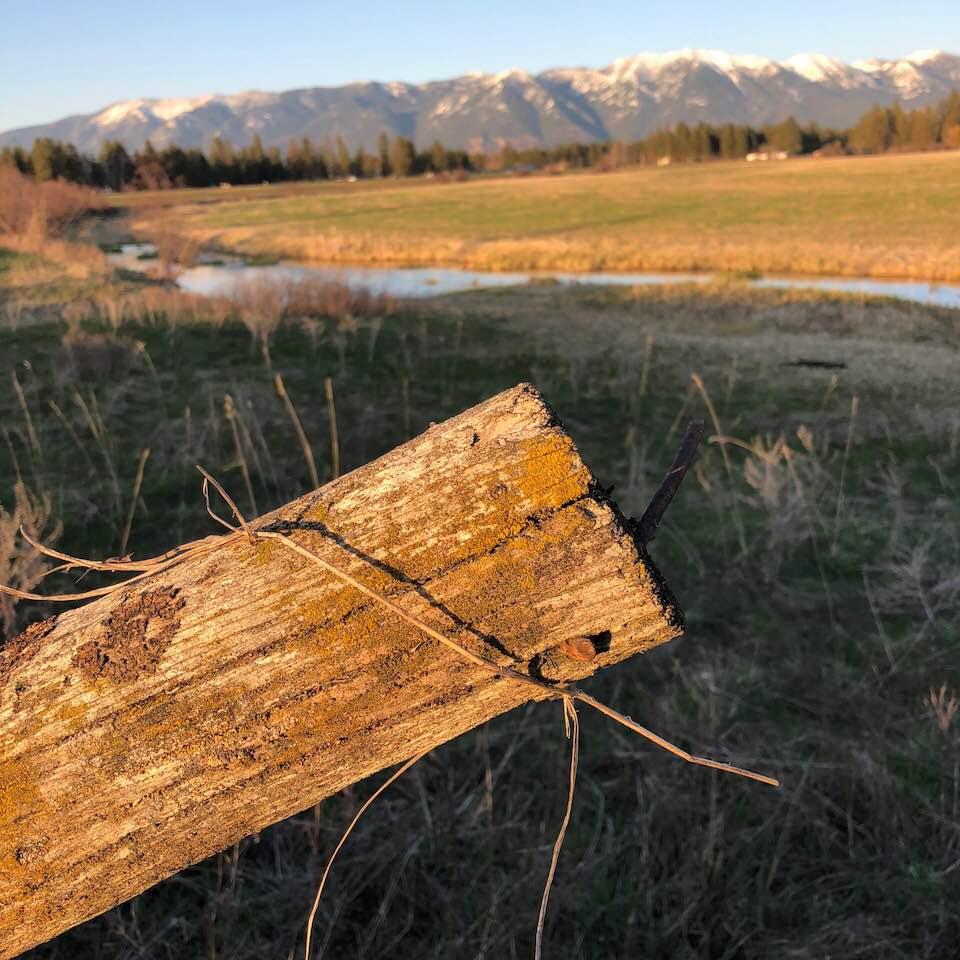 Jeffery Lemons' album, Photos
