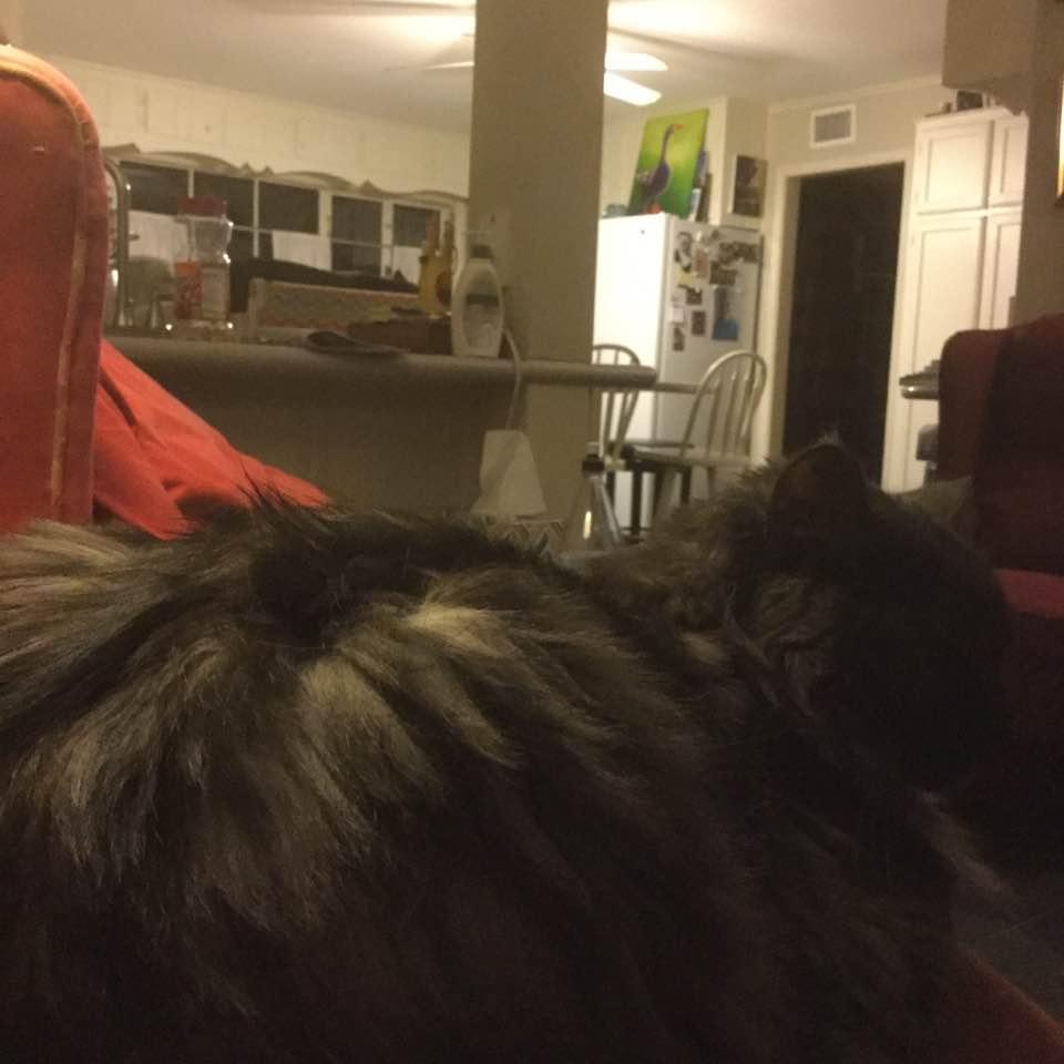 John Cutright's album, Photos