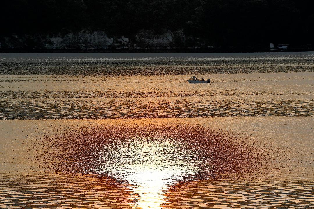 Michael Brunker's album, Mobile uploads
