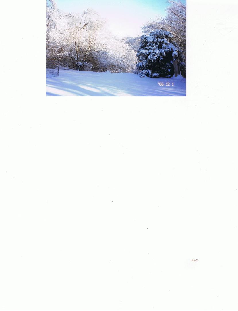 Bob Grace's album, Photos
