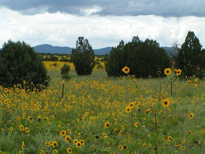 Calvin Dunn's album, Pictures from the Retirement Road Trip