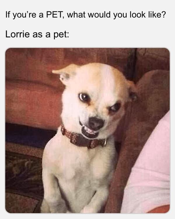 Lorrie Combs' album, Photos