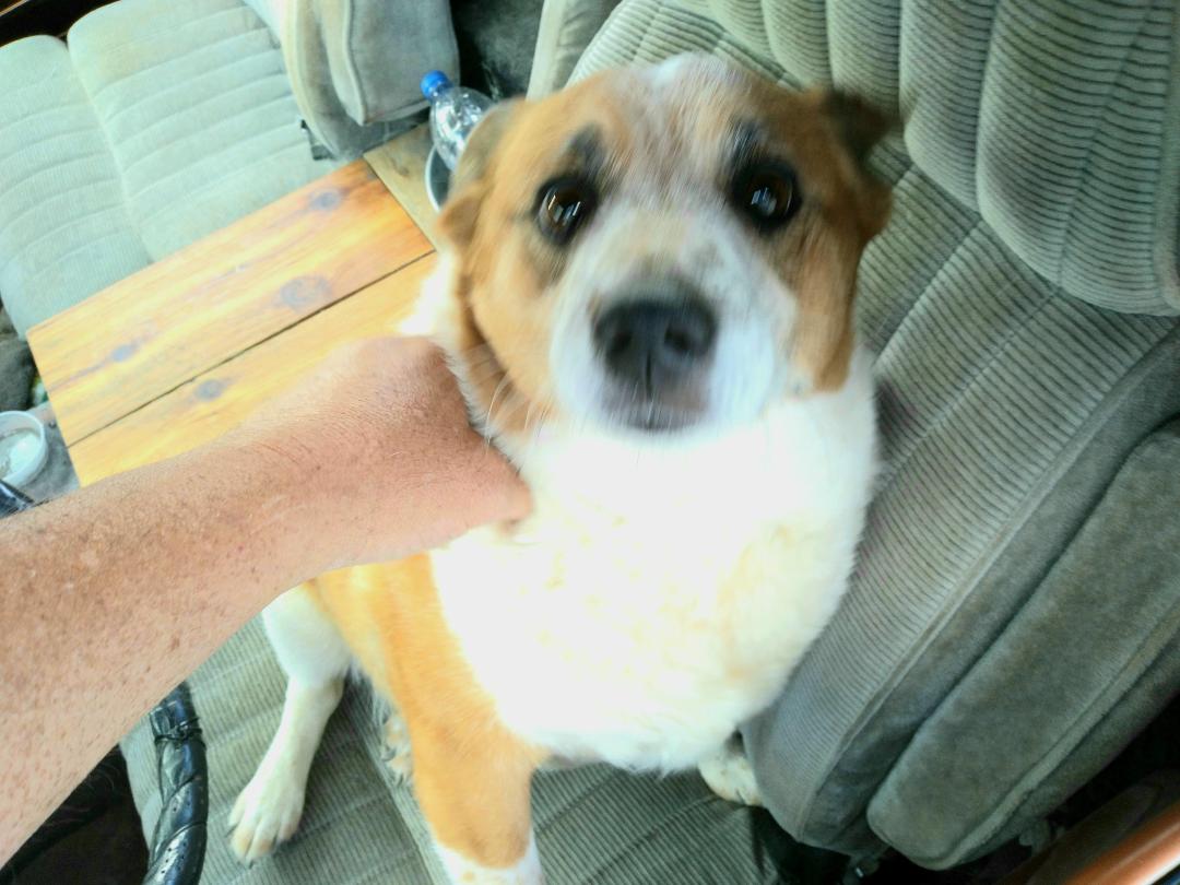 Buddy Howell's album, Mobile uploads