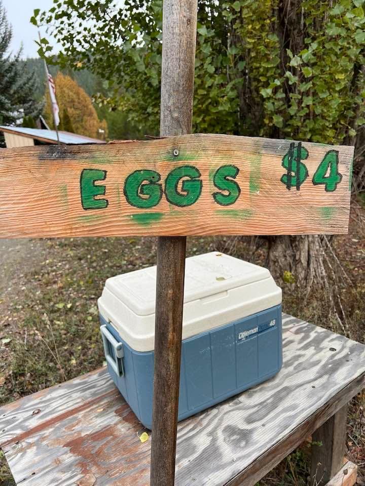 Fresh eggs in the box this morning