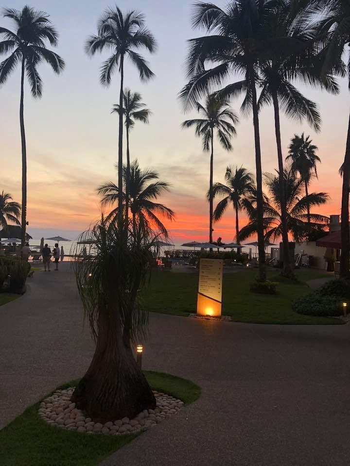 Linda Consiglio's album, Photos
