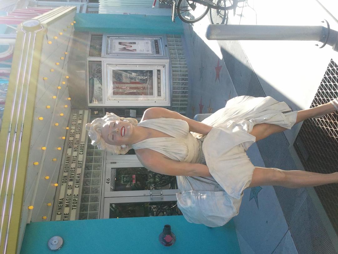 Diane Masvidal's album, Photos