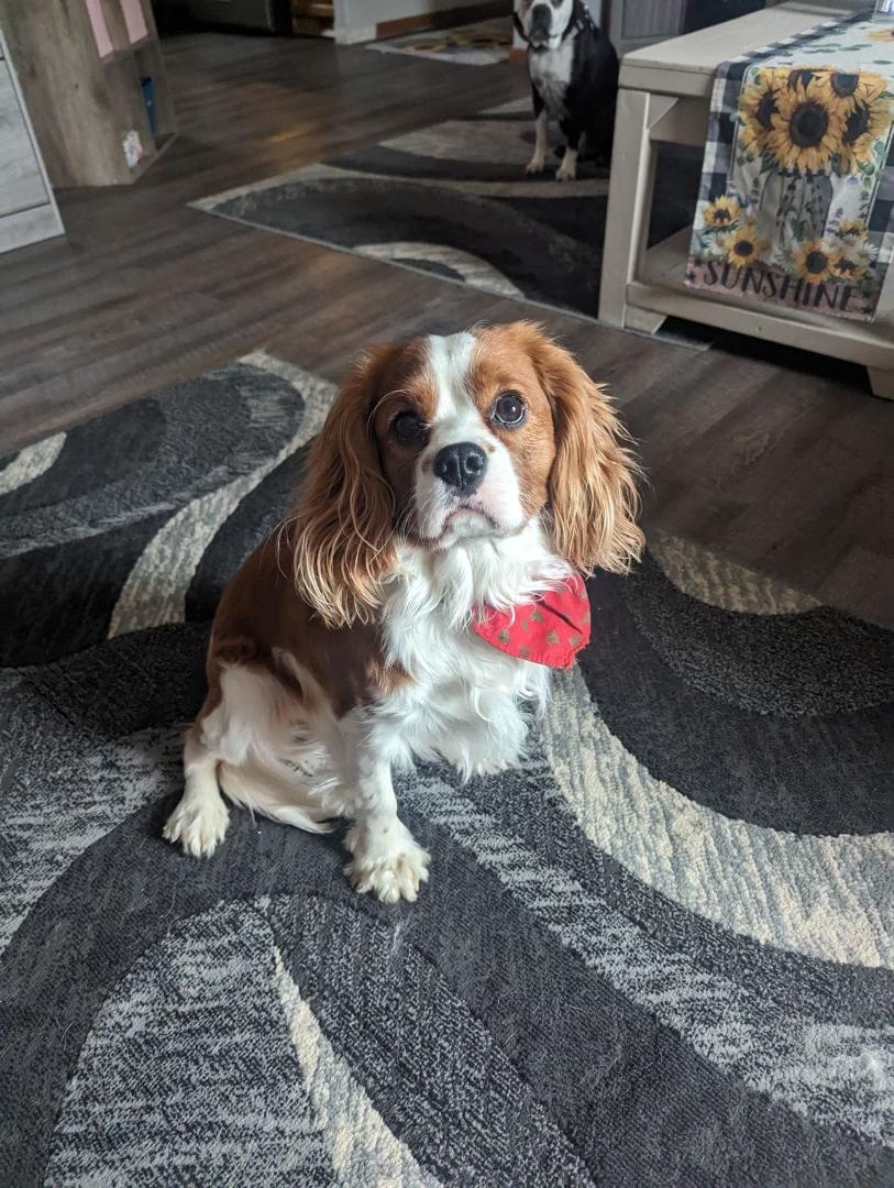 My new handsome boy