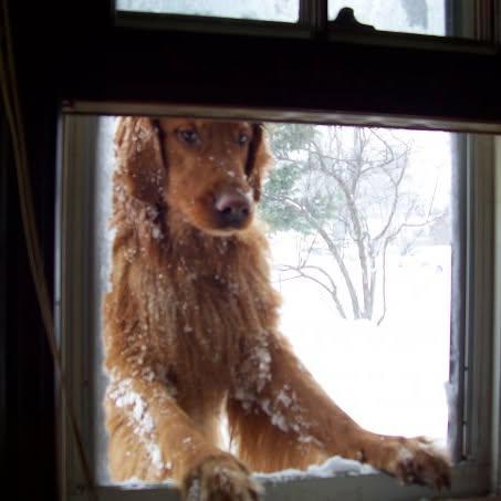 John Squirrel Boudrow's album, Photos