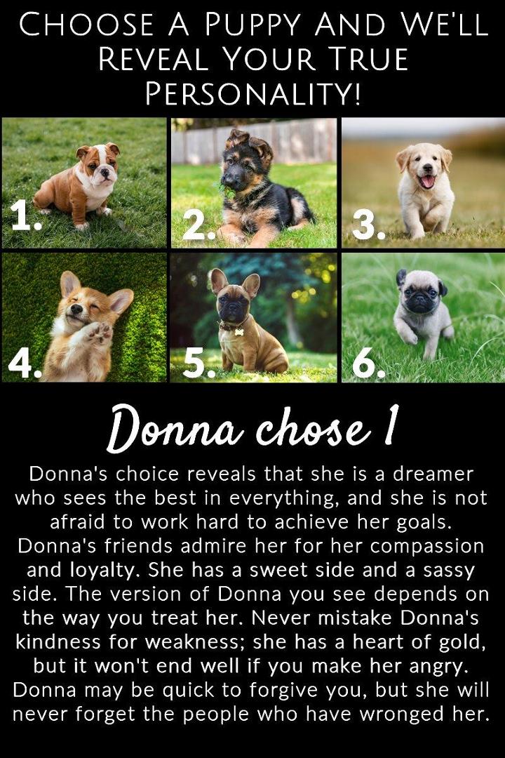 Donna Pugh's album, Photos