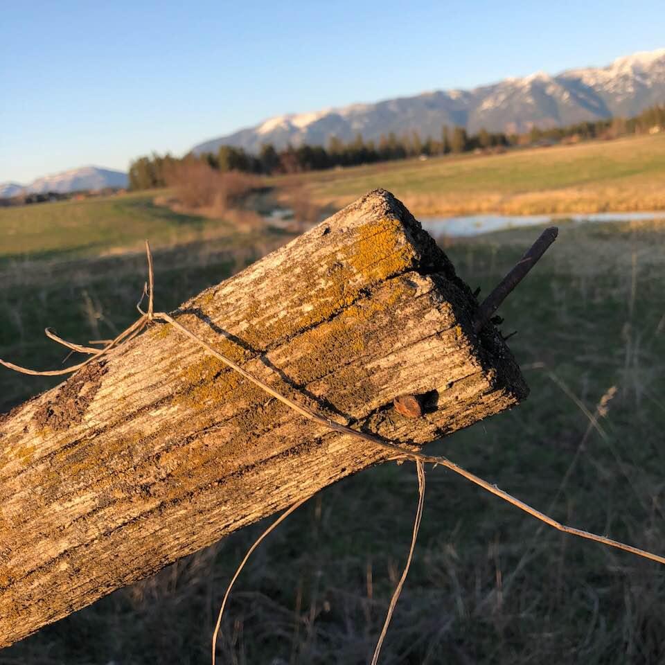 Jeffery Lemons' album, Photos