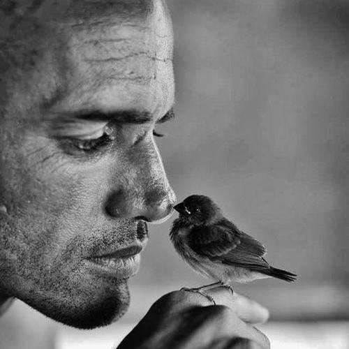 Love and Compassion.