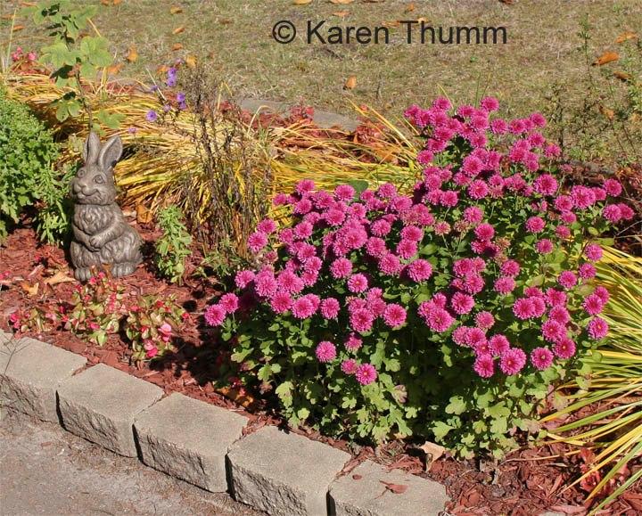 Karen Thumm's album, Photos