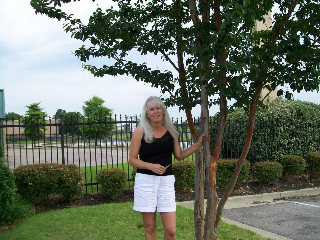Carol Swindler's album, Photos