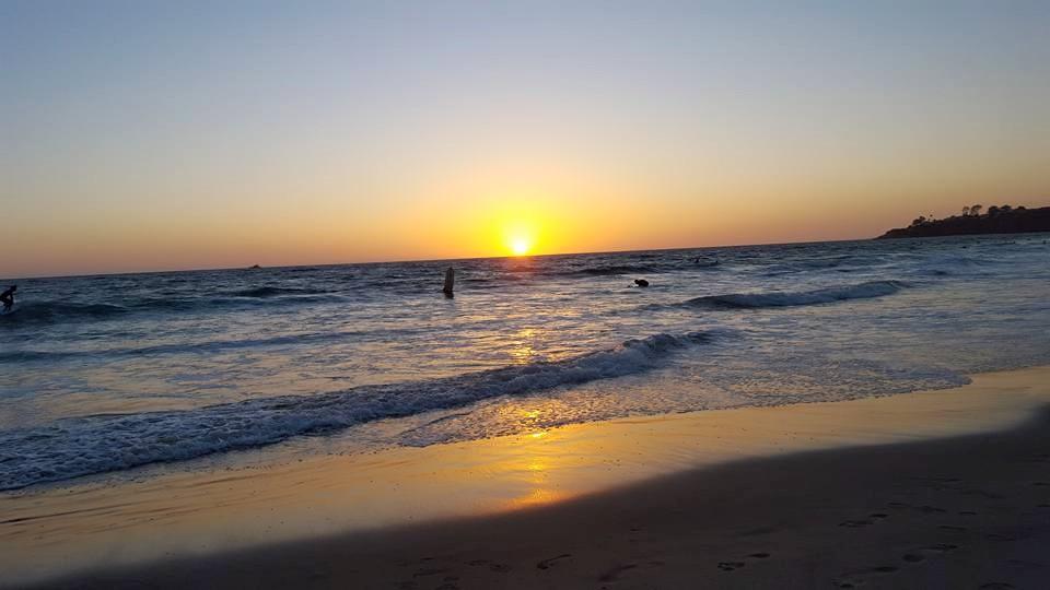 Steve Lee's album, Mobile uploads