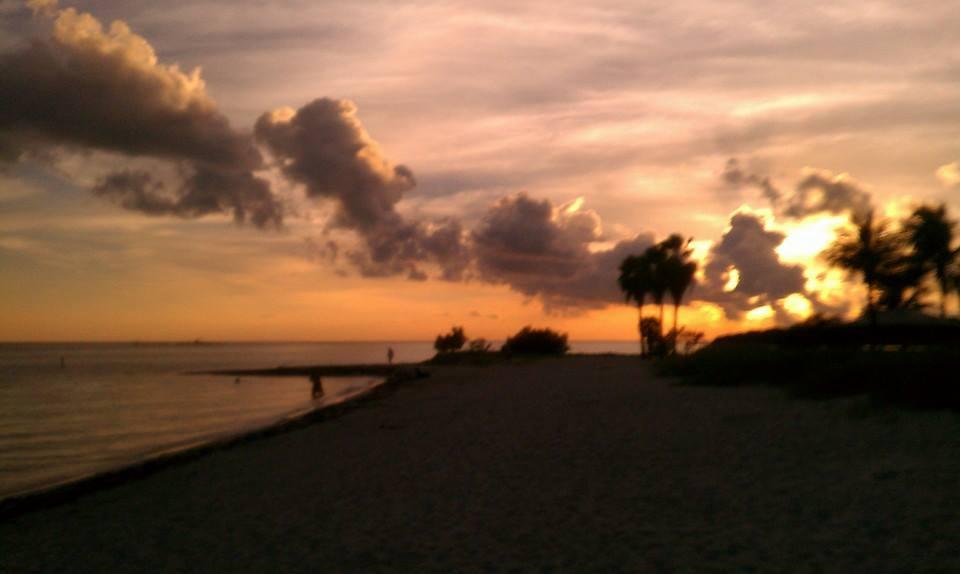 Tim Bridges' album, Mobile uploads