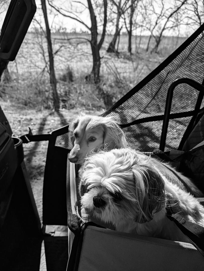 Such a beautiful day that I took the boys for a ride.
Now they will be wanting to go every day.