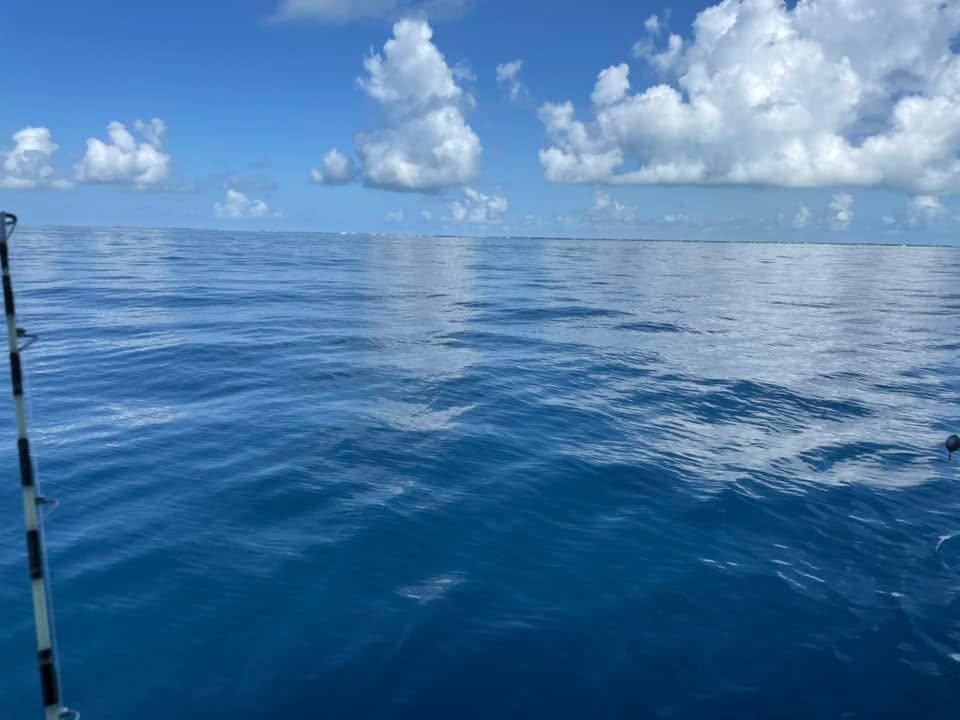 Michael Harmon's album, Mobile uploads