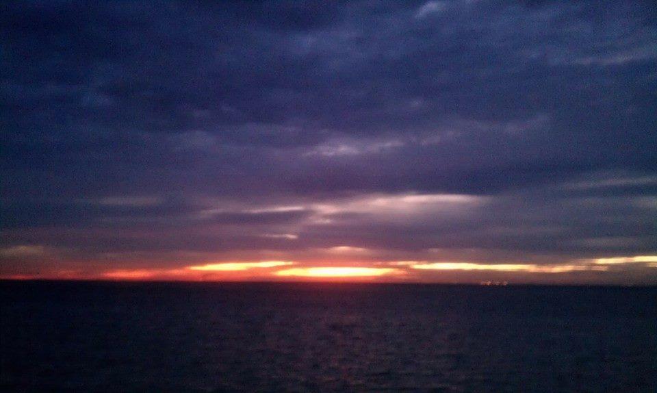 Tim Bridges' album, Mobile uploads