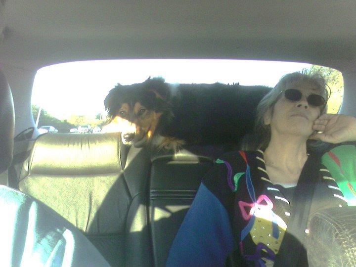 Cal (Tom) Hamilton's album, Scamp