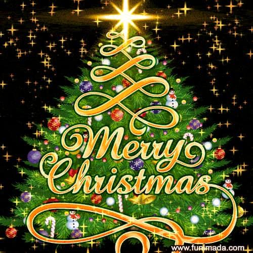 Wishing all my family and friends a very merry Christmas!🎄