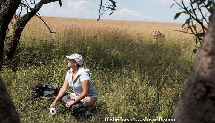 This is one of the best captions I have seen in a while :)