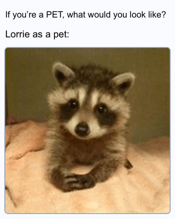 Lorrie Combs' album, Photos
