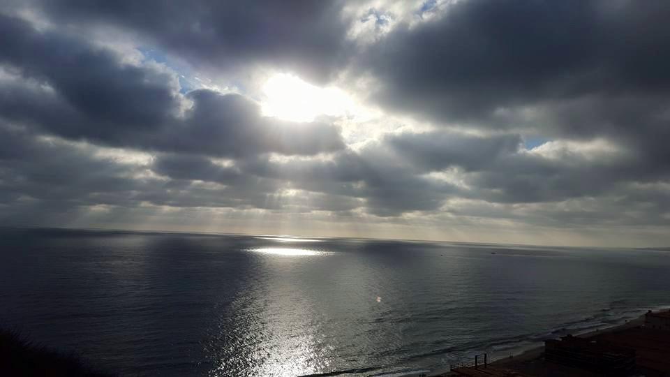 Steve Lee's album, Mobile uploads