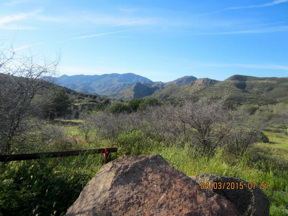 Fred Searing's album, Arizonas Trail Pine Mountain Passage #21