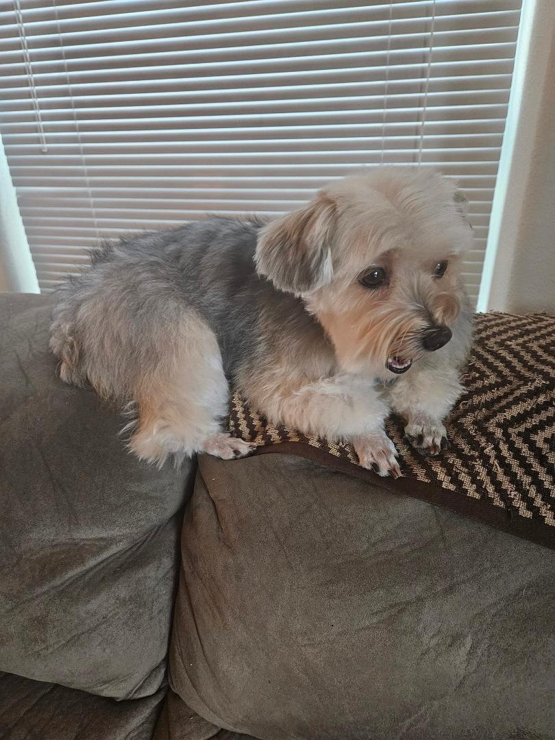 She refuses to look at me after her grooming!