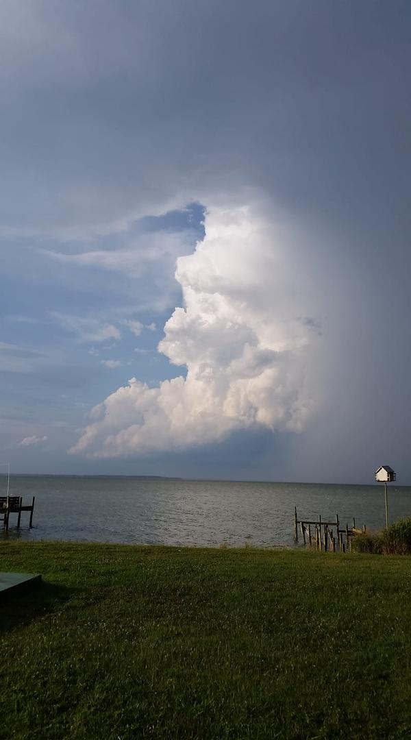 Thomas Wrightson's album, Photos