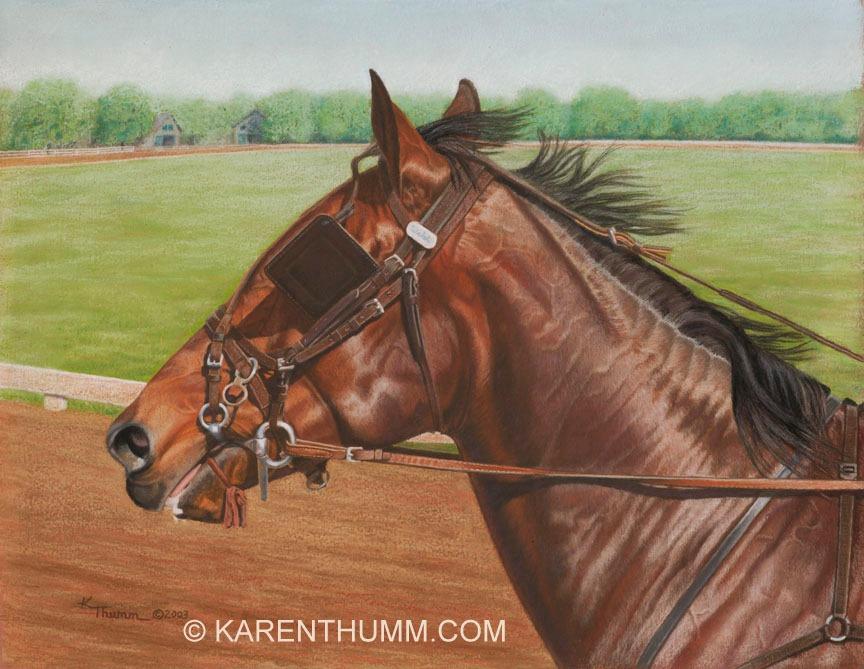 Karen Thumm's album, Photos