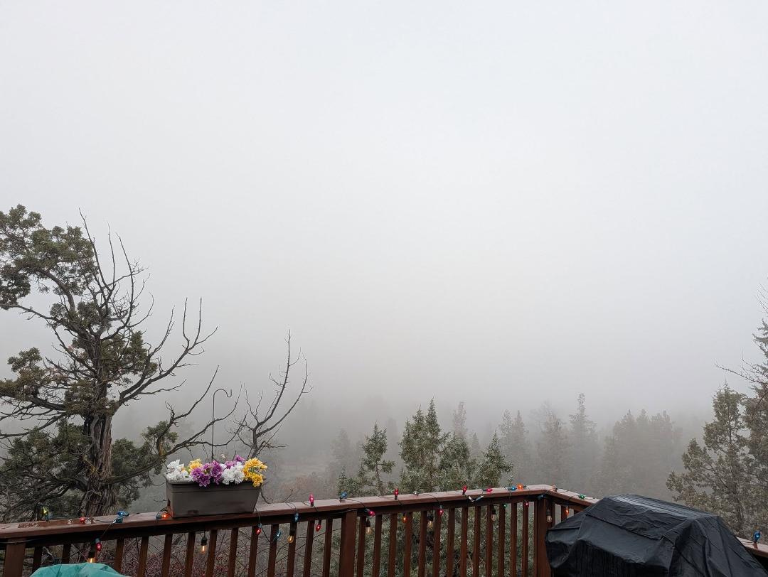 It's a foggy Christmas morning here in Redmond.
MERRY CHRISTMAS TO OUR FAMILY AND FRIENDS.🌲