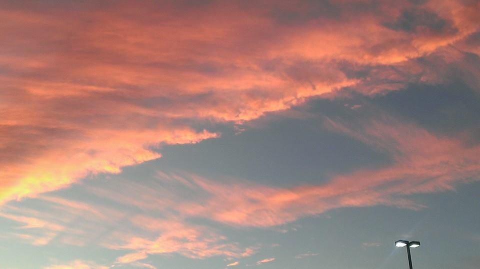 Steve Taylor's album, Mobile uploads