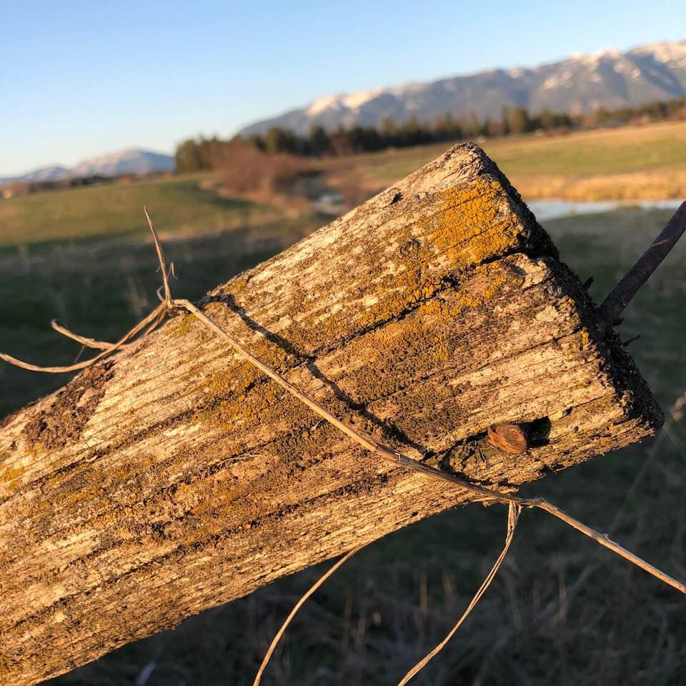 Jeffery Lemons' album, Photos
