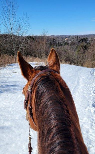Great day for a ride! But the snow will be gone soon, then mud season...