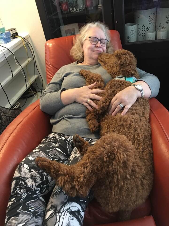 Me & my grand puppy, Finley. I think she loves all the attention. Plus she is still a puppy. Love this red poodle.