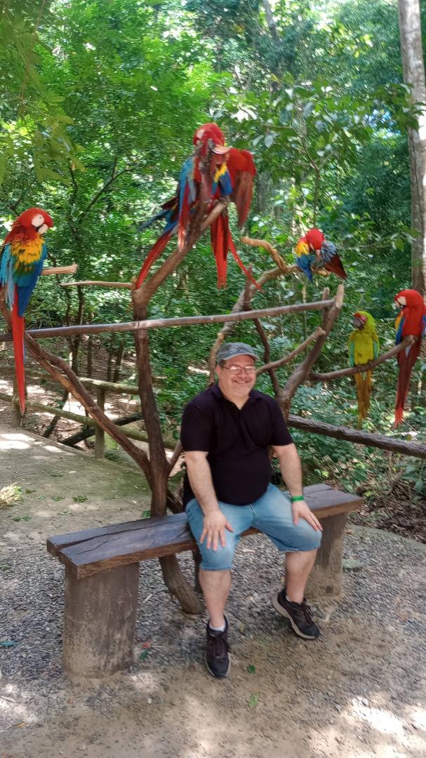 John Benigno's album, Mobile uploads