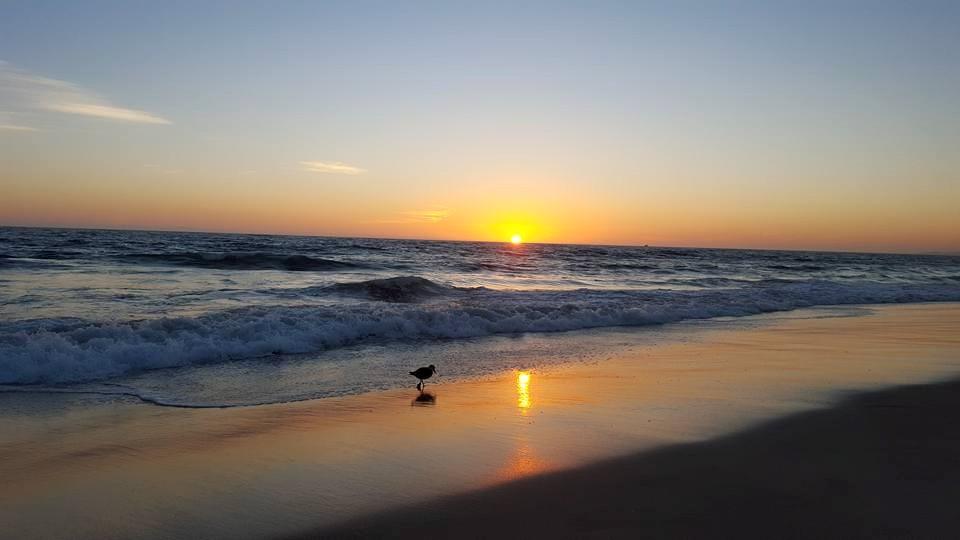 Steve Lee's album, Mobile uploads