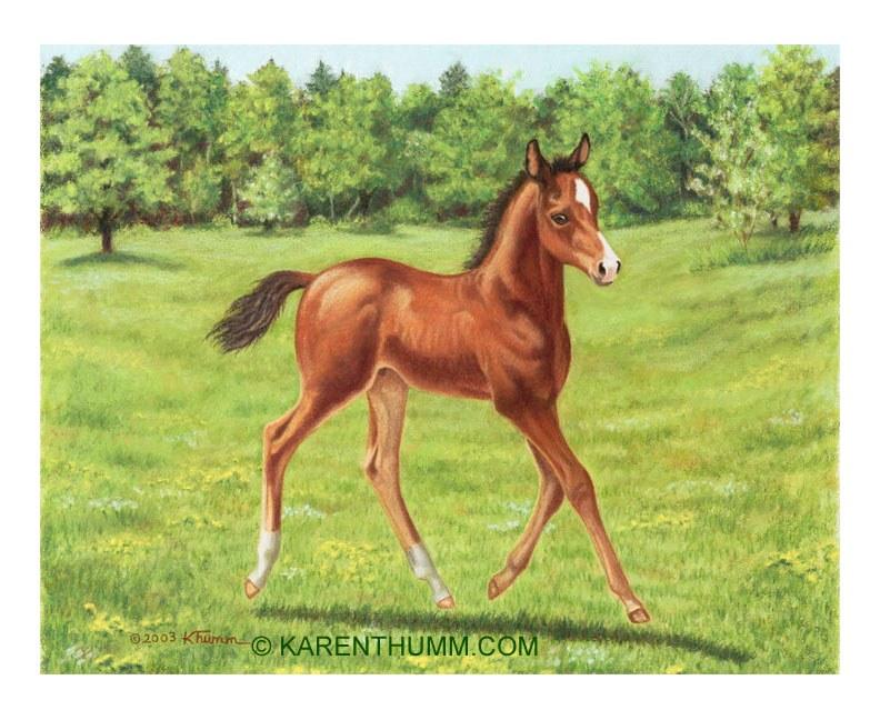 Karen Thumm's album, Photos