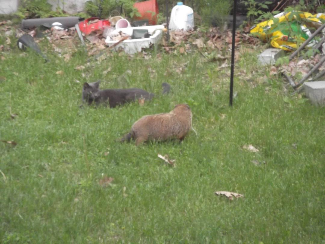 Bob McVicker's album, Photos
