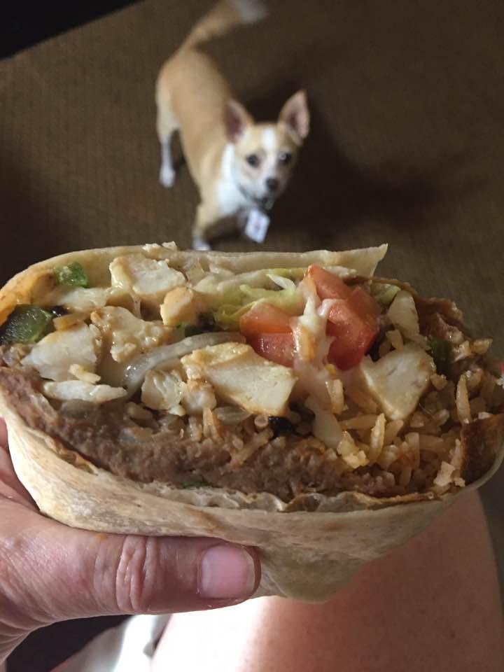 Karma lusting after my burrito!