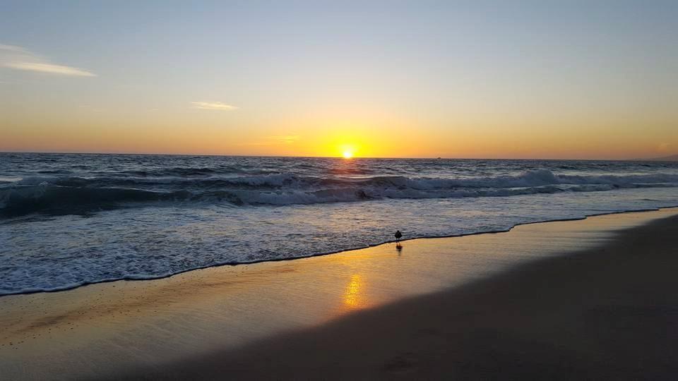 Steve Lee's album, Mobile uploads