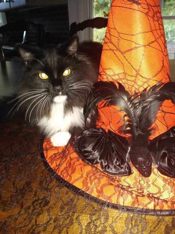 Happy halloween