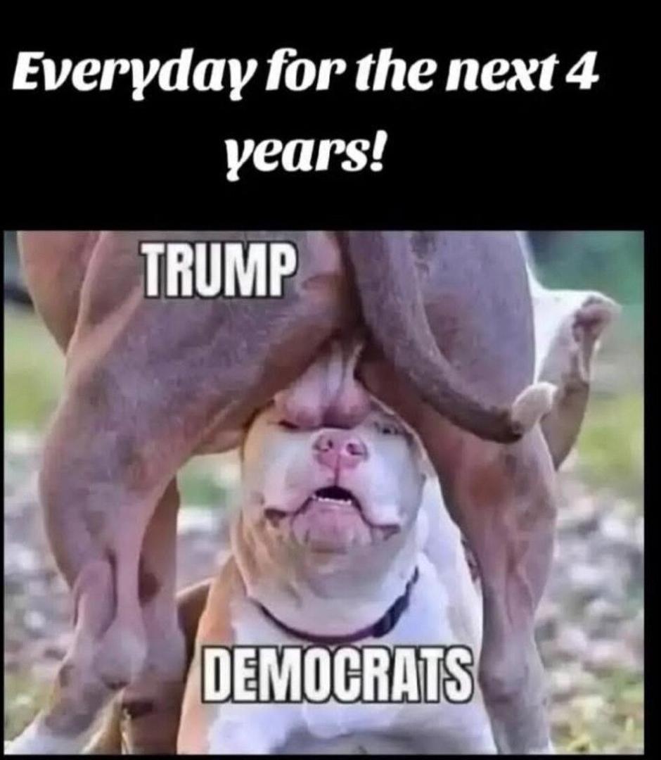 This made me laugh