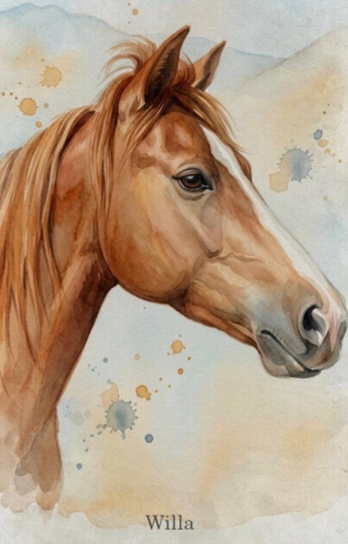 Donna busch's album, Mobile uploads